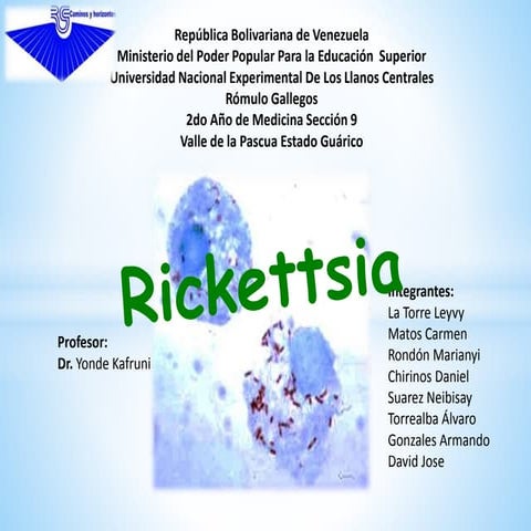 Rickettsia
