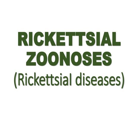 Rickettsial zoonoses