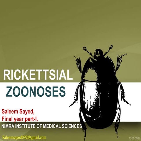 WHAT ARE RICKETTSIAL DISEASES visual data 8
