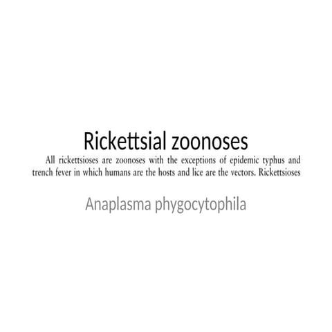 Rickettsial zoonoses.ppt. This topic explore the various zoonotic rickettsia diseases