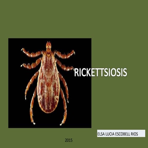 Rickettsial infections | PPTX