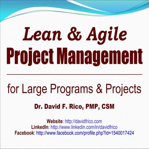 Lean & Agile Project Management: For Large Programs & Projects