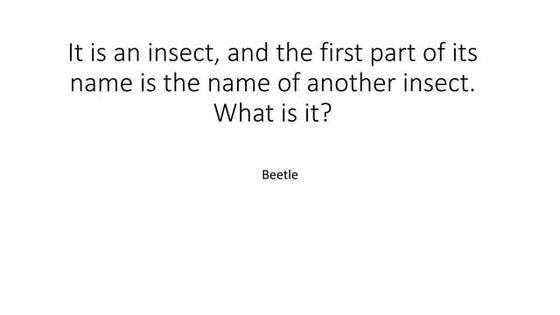 RIDDLES, WHAT AM I | PPT