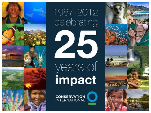 Riding perfect storm - TRIPLE STRENGTH PORTFOLIO Healthy, Sustainable Economies for Asian Growth lectures and seminar slides to Singapore universities and business schools 2012