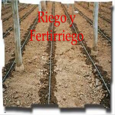 Riego y fertirriego