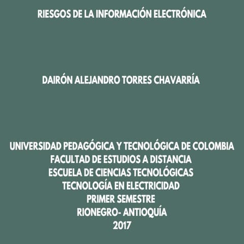 Riesfos de la informacion electronica