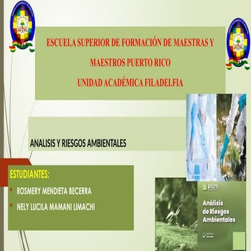 RIESGOS AMBIENTALES NELY ROSMERY presentacion