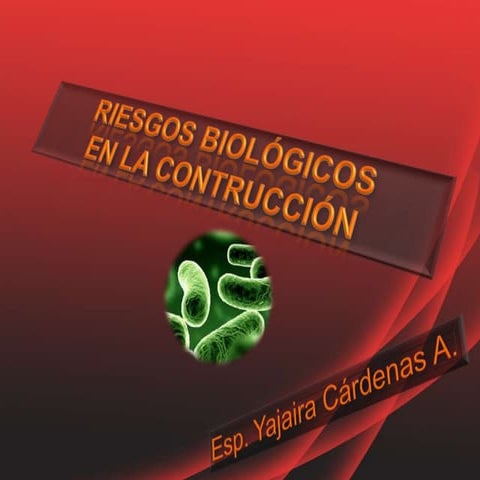RIESGOS BIOLOGICOS