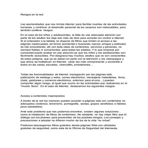 Riesgos en la red
