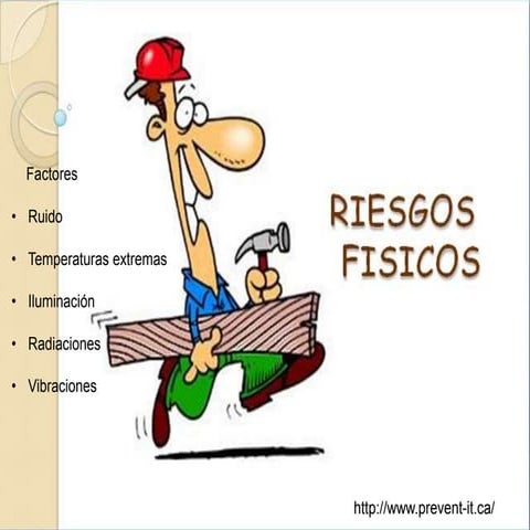 Riesgos fisicos seguridad 1