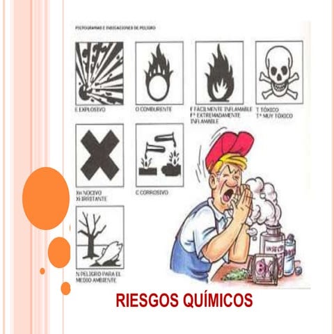 Programa salud ocupacional