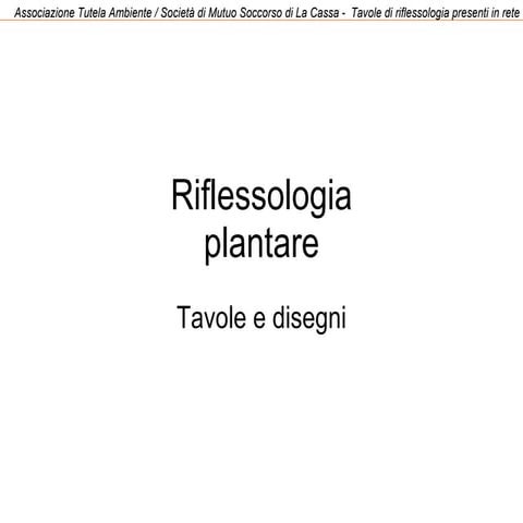 Riflessologia