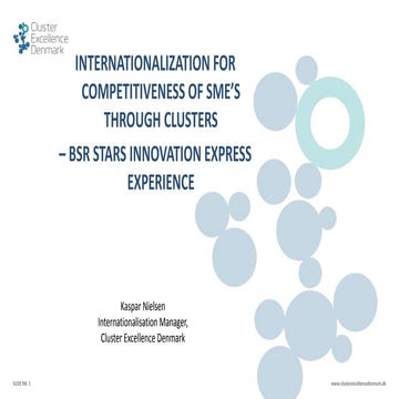 K. Nielsen Internationalization for competitiveness of SME’s – BSR Stars Inno...