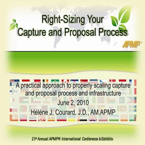 Scaling Your Capture and Proposal Management Processes to Fit Your Company
