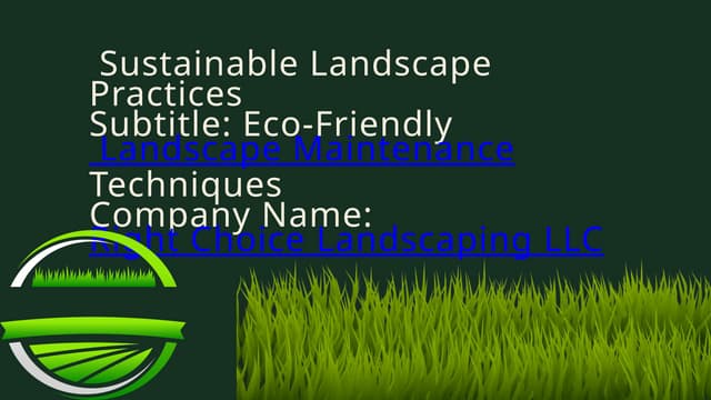 RIGHT          CHOICE   LANDSCAPING  LLC