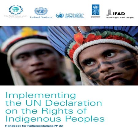 Human Rights of Indigenous Peoples - A Brief Note | PPTX