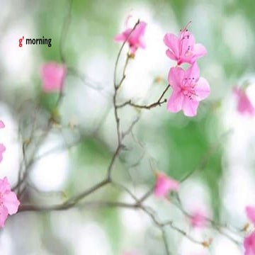 MM Bagali ....Management Relevance and Rigor......Rigor and relevance.... mm ...