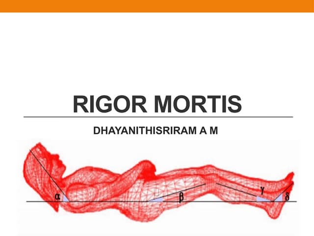 Rigor mortis ppt | PPTX