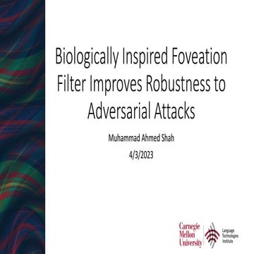 riken-RBlur-slides.pptx