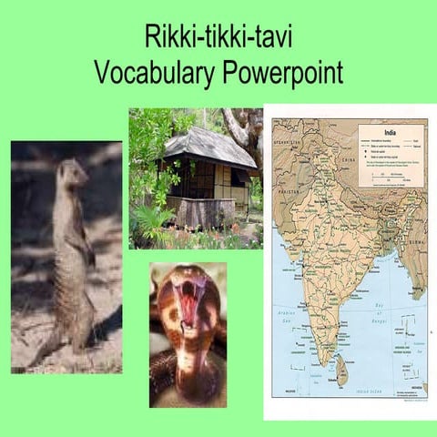 Rikki tikki-tavi Vocabulary