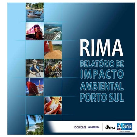RIMA - Relatório de Impacto Ambiental Porto Sul | PDF