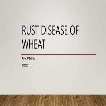 Rima Fathima PAT.pptx                     .