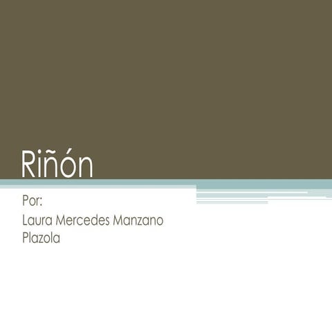 Riñón