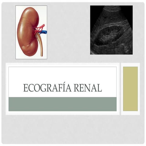 ULTRASONOGRAFIA RIÑON SEM 7.pdfffffffff | PDF