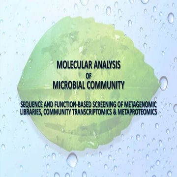 Molecular analysis of Microbial Community