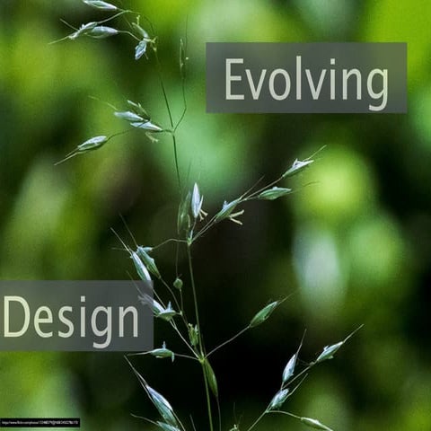 Professional Persona Project