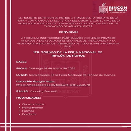 torneo Nacional Rincon de Romos Taekwondo.pdf