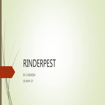 Rinderpest