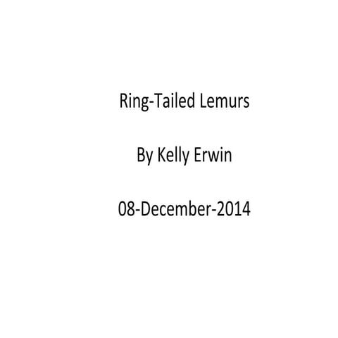 Ring tailed lemur-presentation