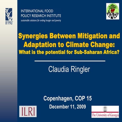 Synergies Between Mitigation and Adaptation to Climate Change:What is the potential for Sub-Saharan Africa?