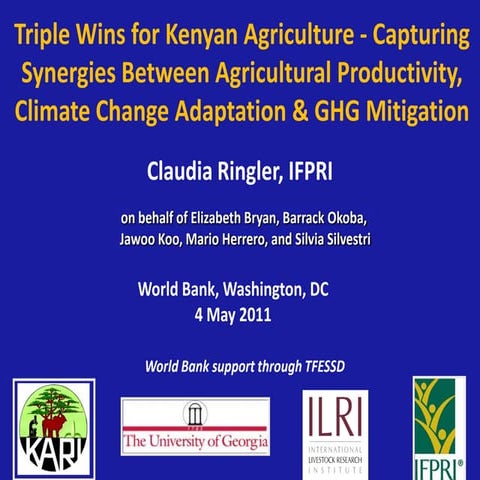 Ringler w bpresentation_mitigation_smallsize