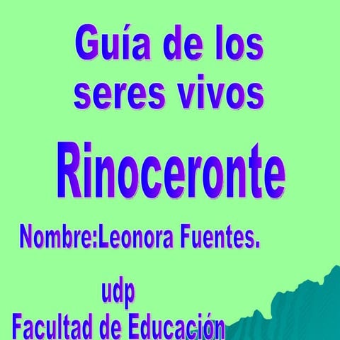 Rinoceronte ppt