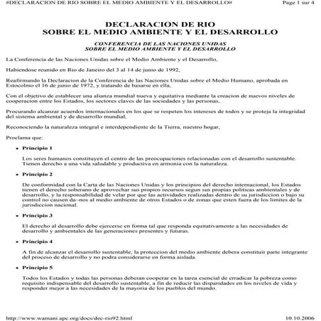 Rio declaration spanish