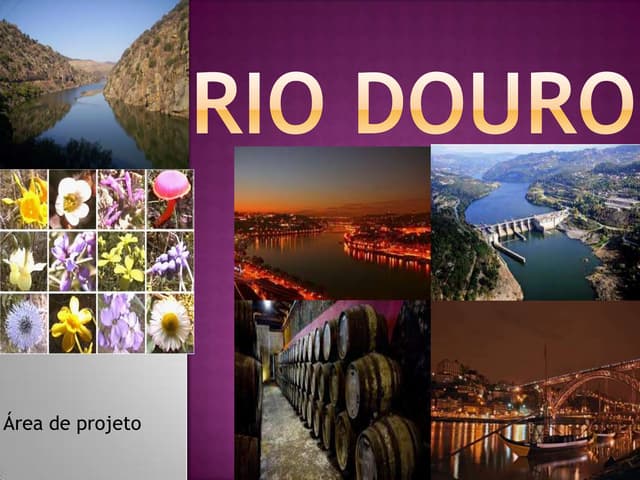 Rio douro power point