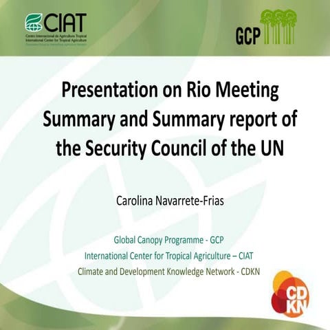 Rio Meeting Summary and Summary Report of the Security Council of the UN
