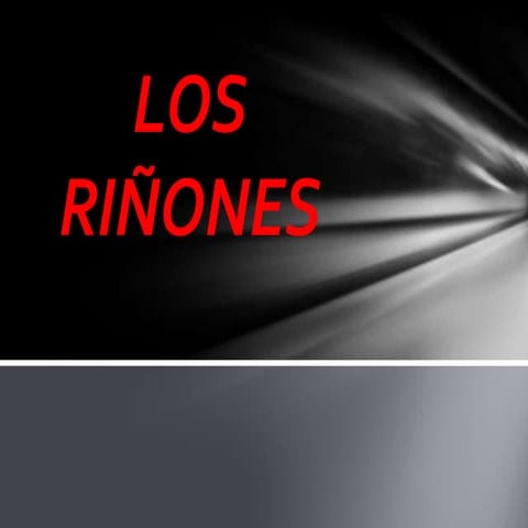 Riñomes | PPTX