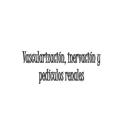 Riñón: vascularización, linfático, inervación  y pedículos renales  
