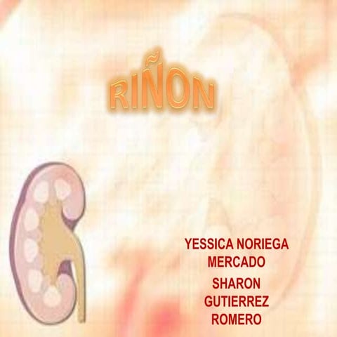 Laboratorio sobre el Riñon | PPTX