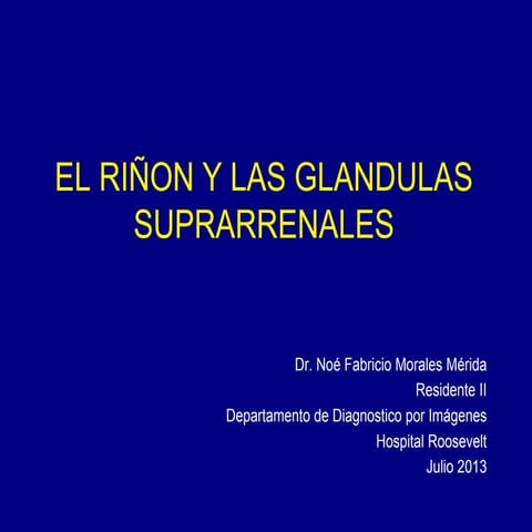 Riñon y glandula suprarrenal pediatrico