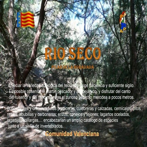 Rio Seco