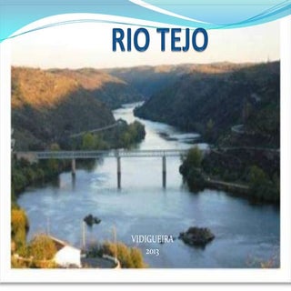 Rio tejo