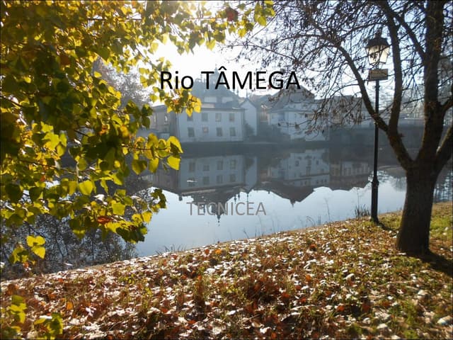 Rio tâmega