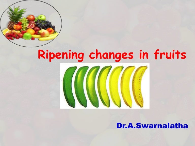 Ripening changes in fruits