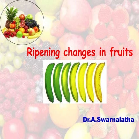 Ripening changes in fruits