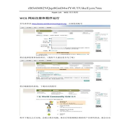 Ripple lab  wcg项目教程最终