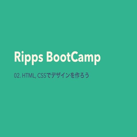 Ripps BootCamp 02